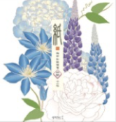 II226B1 Kami Letter Set B1