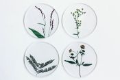 TU001BB Coaster Set Botanics B