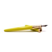 FW004DDG Brush Fountain Pen Fine Nib Duck Duck Goose