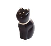 P114CT Cat