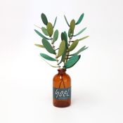 BC003OL SOEL Olive