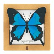 BC00201 SQAR Blue Butterfly