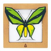 BC00202 SQAR Green Butterfly